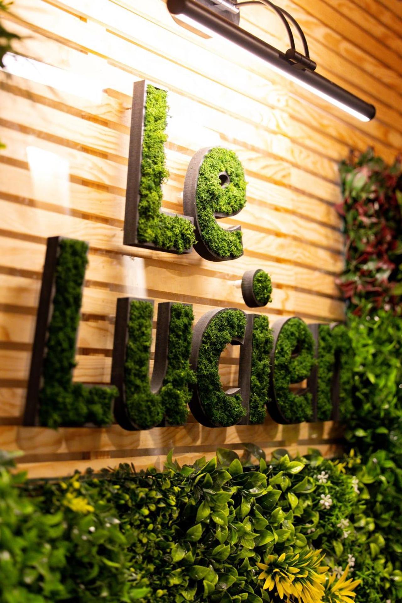 Le Lucien Eco-Appart'Hotel - Angouleme - Centre - Wifi - Parking Prive - Classe 4 Etoiles Angoulême Exterior foto